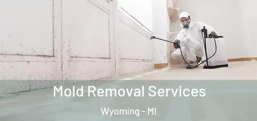 Mold Removal Services Wyoming - MI