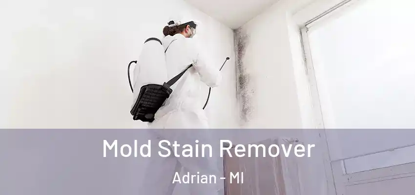  Mold Stain Remover Adrian - MI