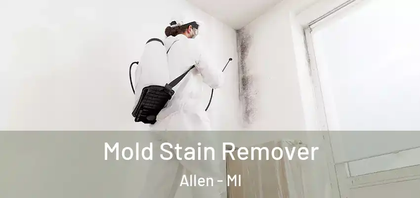  Mold Stain Remover Allen - MI