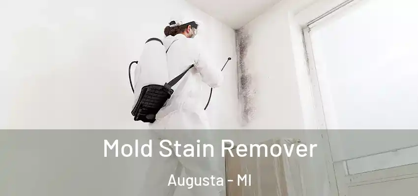  Mold Stain Remover Augusta - MI