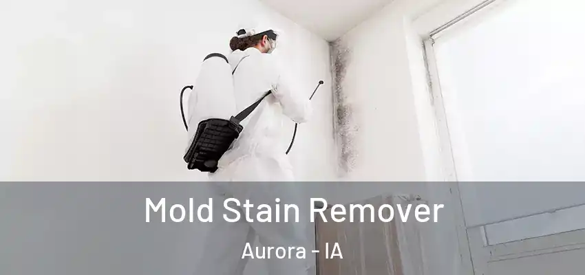  Mold Stain Remover Aurora - IA