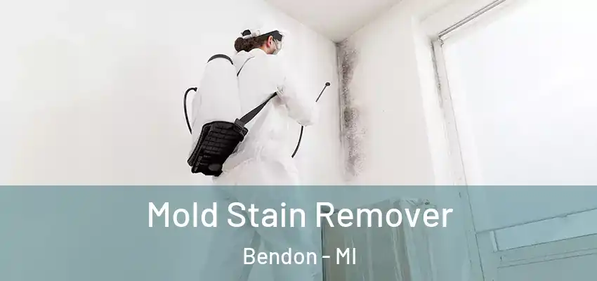  Mold Stain Remover Bendon - MI