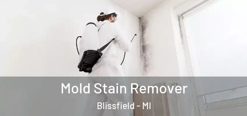  Mold Stain Remover Blissfield - MI