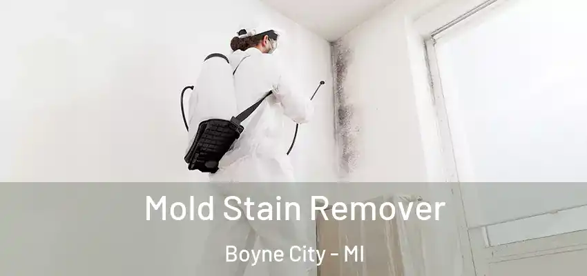  Mold Stain Remover Boyne City - MI
