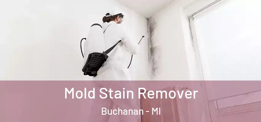  Mold Stain Remover Buchanan - MI