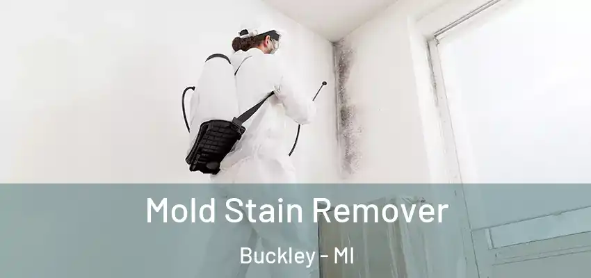  Mold Stain Remover Buckley - MI