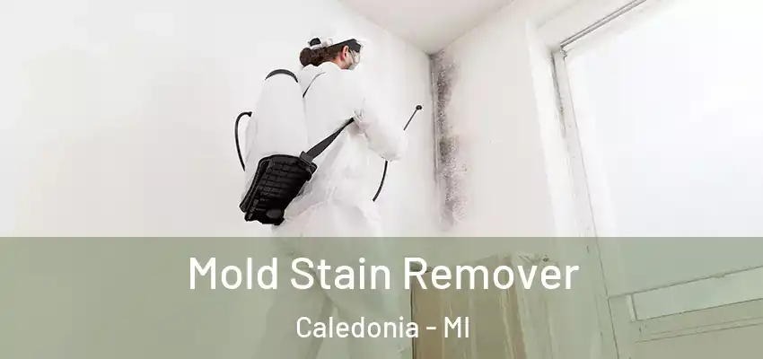  Mold Stain Remover Caledonia - MI