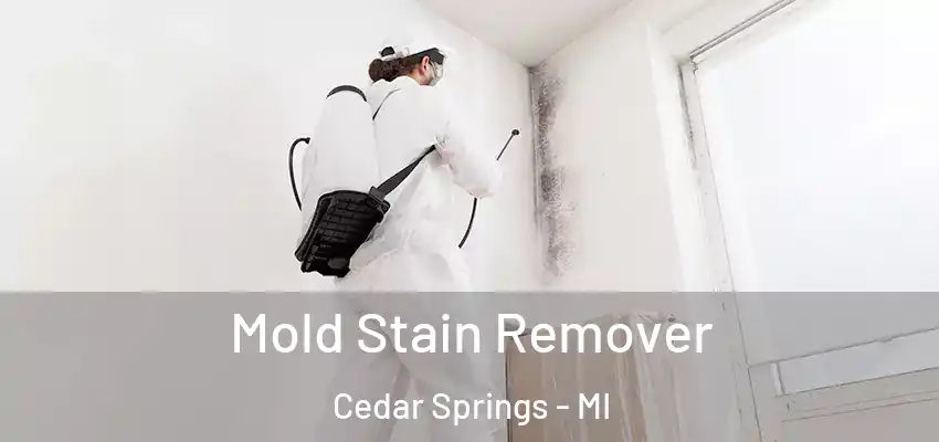  Mold Stain Remover Cedar Springs - MI