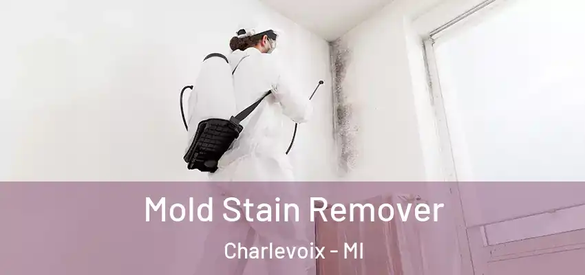  Mold Stain Remover Charlevoix - MI