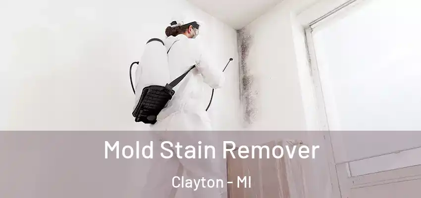  Mold Stain Remover Clayton - MI