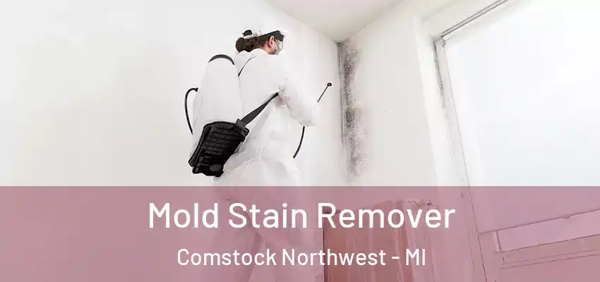  Mold Stain Remover Comstock Northwest - MI