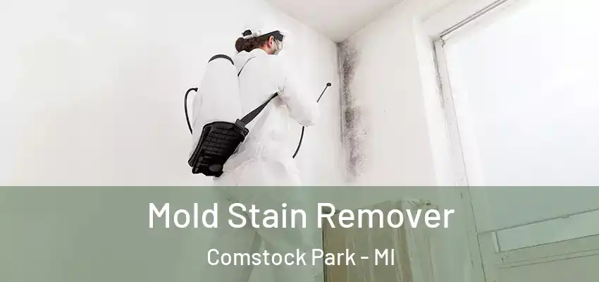  Mold Stain Remover Comstock Park - MI