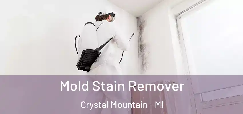  Mold Stain Remover Crystal Mountain - MI
