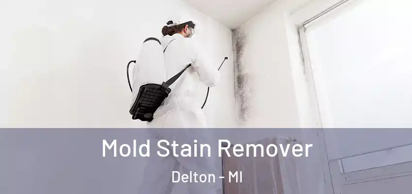  Mold Stain Remover Delton - MI