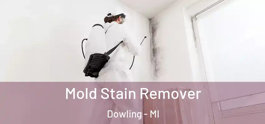 Mold Stain Remover Dowling - MI