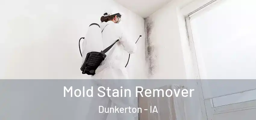  Mold Stain Remover Dunkerton - IA