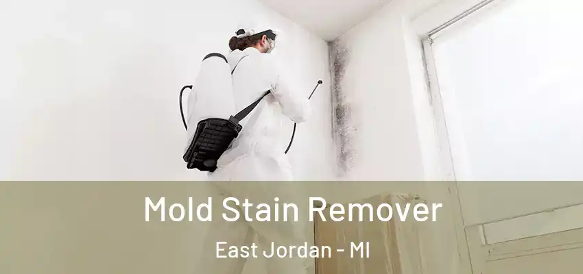  Mold Stain Remover East Jordan - MI