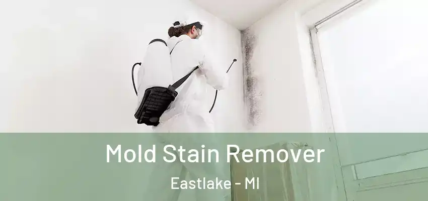  Mold Stain Remover Eastlake - MI