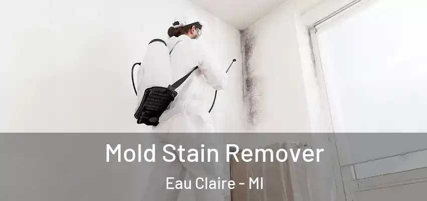 Mold Stain Remover Eau Claire - MI