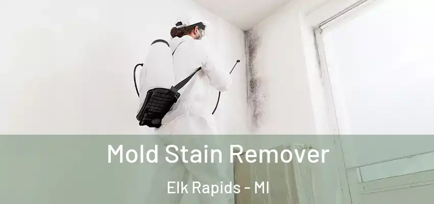  Mold Stain Remover Elk Rapids - MI