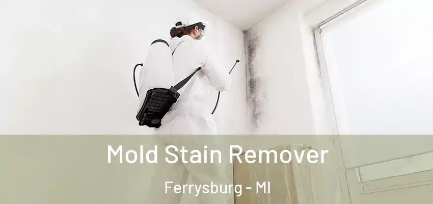Mold Stain Remover Ferrysburg - MI