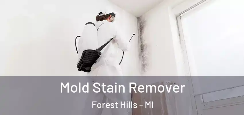 Mold Stain Remover Forest Hills - MI