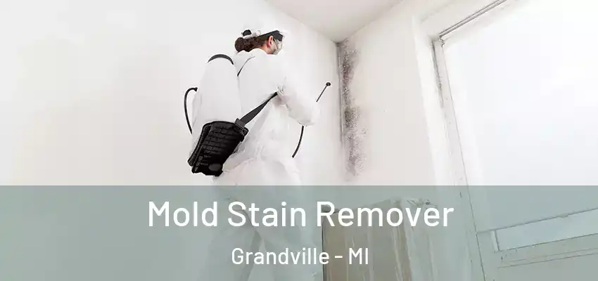  Mold Stain Remover Grandville - MI