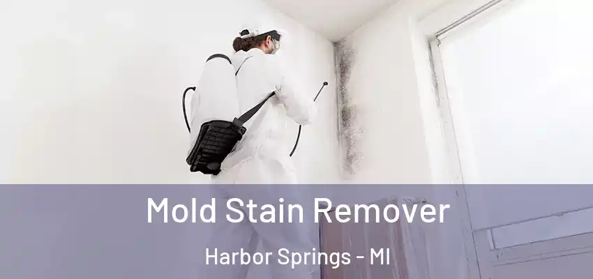 Mold Stain Remover Harbor Springs - MI