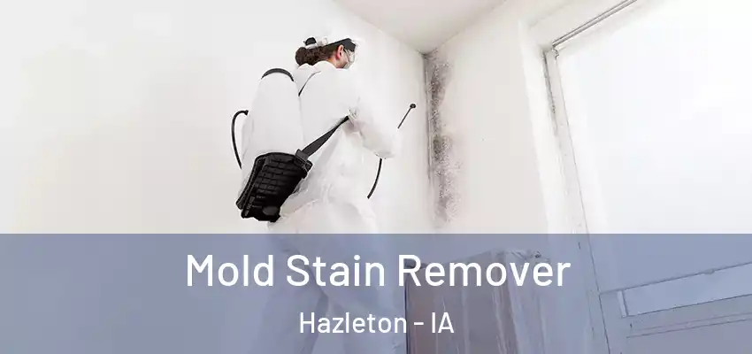  Mold Stain Remover Hazleton - IA