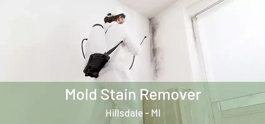  Mold Stain Remover Hillsdale - MI