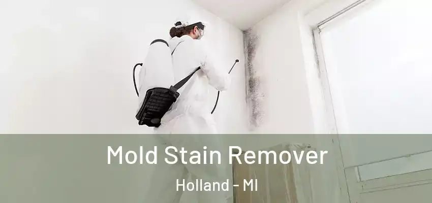 Mold Stain Remover Holland - MI