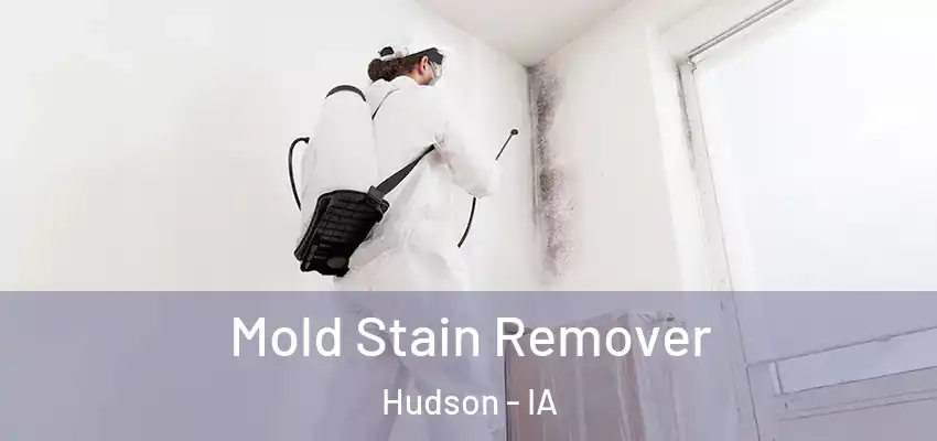  Mold Stain Remover Hudson - IA