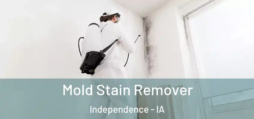  Mold Stain Remover Independence - IA