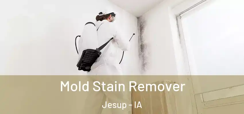  Mold Stain Remover Jesup - IA