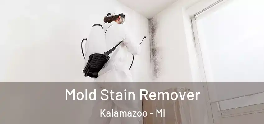  Mold Stain Remover Kalamazoo - MI