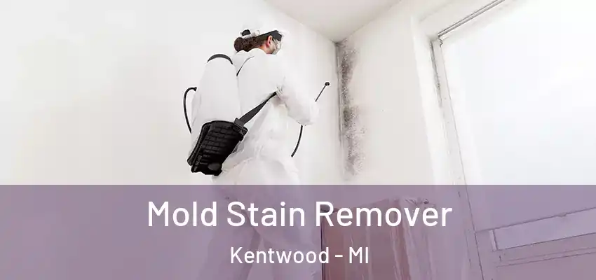  Mold Stain Remover Kentwood - MI