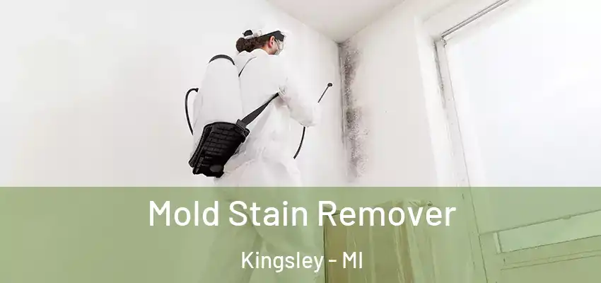  Mold Stain Remover Kingsley - MI