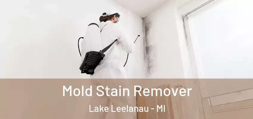  Mold Stain Remover Lake Leelanau - MI