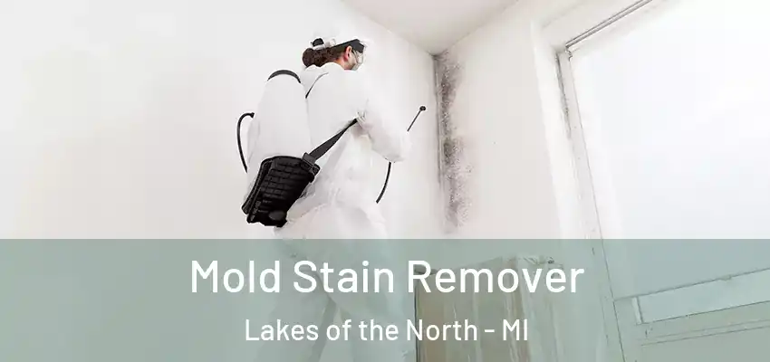  Mold Stain Remover Lakes of the North - MI