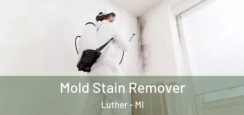  Mold Stain Remover Luther - MI
