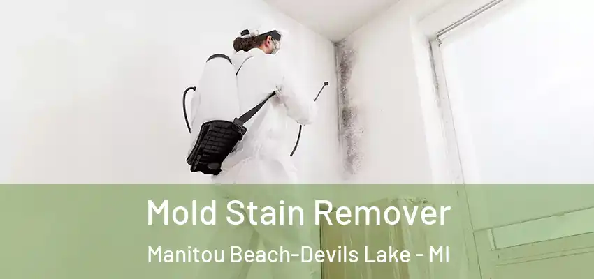  Mold Stain Remover Manitou Beach-Devils Lake - MI