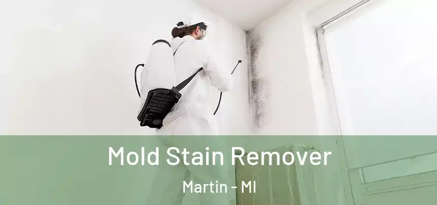  Mold Stain Remover Martin - MI