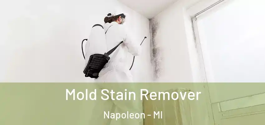  Mold Stain Remover Napoleon - MI