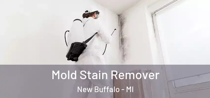  Mold Stain Remover New Buffalo - MI