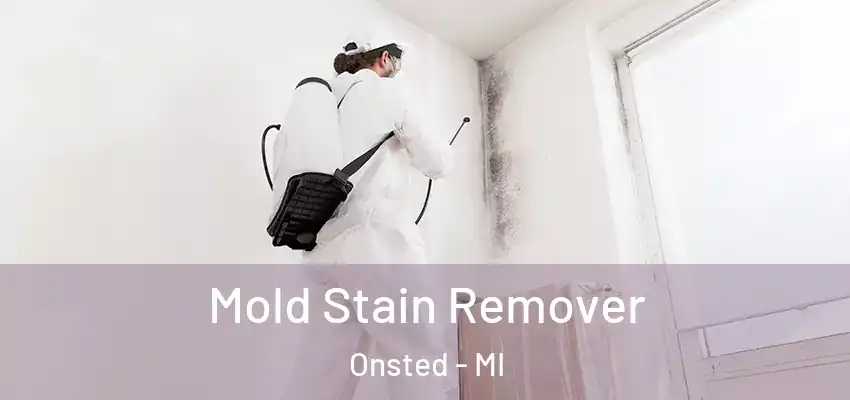  Mold Stain Remover Onsted - MI