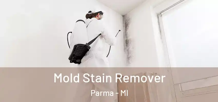 Mold Stain Remover Parma - MI