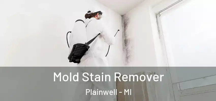  Mold Stain Remover Plainwell - MI