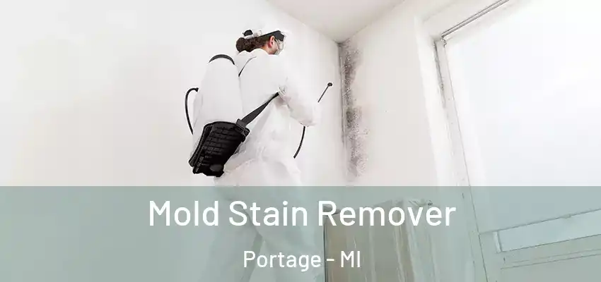  Mold Stain Remover Portage - MI