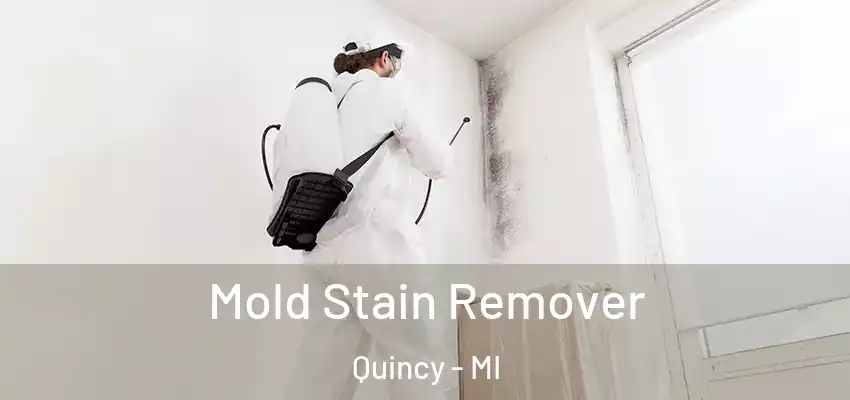  Mold Stain Remover Quincy - MI