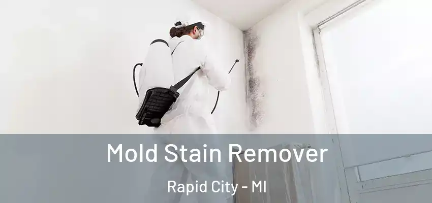  Mold Stain Remover Rapid City - MI
